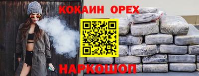 спайс Кингисепп