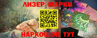 спайс Кингисепп