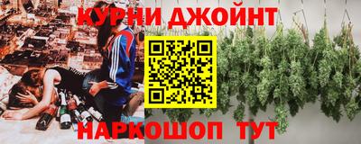 спайс Кингисепп
