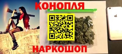 спайс Кингисепп