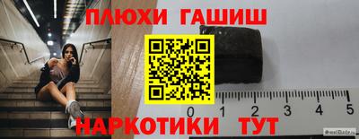 спайс Кингисепп