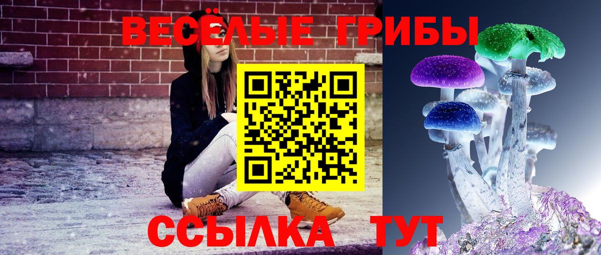 Псилоцибиновые грибы Psilocybe Кимры