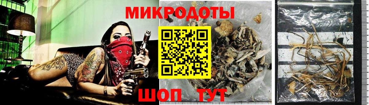 Кимры  Галлюциногенные грибы Psilocybine cubensis  Вход с VPN  Галлюциногенные грибы Psilocybe 